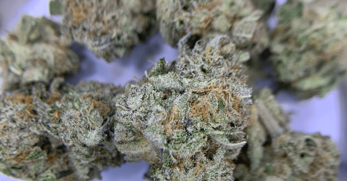 terpenes for sale in United States